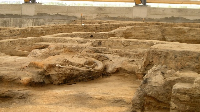 世界最古の都市遺跡！トルコの世界遺産、チャタルホユックの新石器時代遺跡