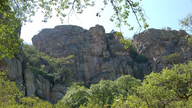 砂漠のルーブルと呼ばれるほどの岩壁絵が魅力的なボツワナの世界遺産、ツォディロ