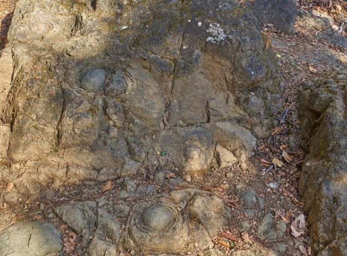 大山の登山道地面にある牡丹岩