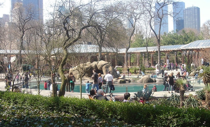 大都会ニューヨーク・マンハッタンにある動物園！そこには魅力がいっぱい！