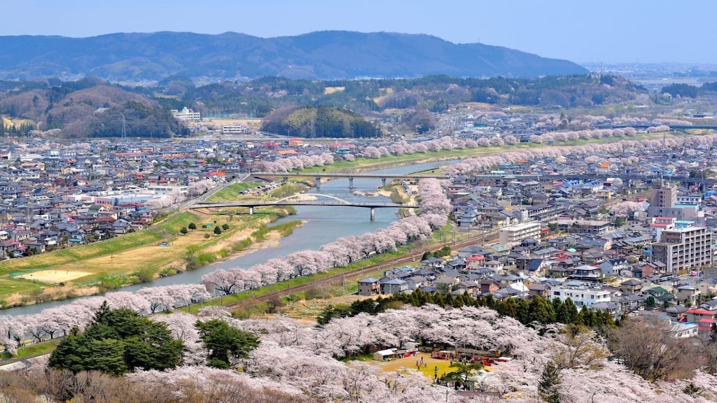 【宮城県】味噌から饅頭まで！柴田町でおすすめのお土産4選