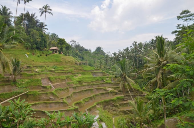 テガラランライステラス