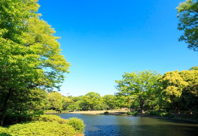 北の丸公園（皇居）