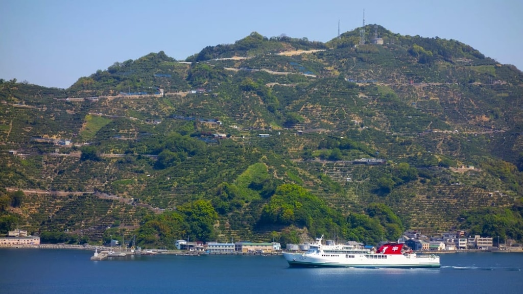 宇和島運輸フェリーの「あかつき丸」で八幡浜から別府までフェリー旅！