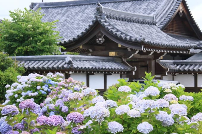 松江藩主菩提寺「月照寺」（島根県松江市）