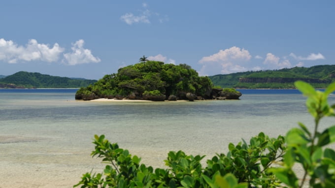 水曜どうでしょう 西表島