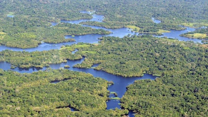 ブラジルが誇る大自然の宝庫 中央アマゾン保全地域群の魅力 Skyticket 観光ガイド