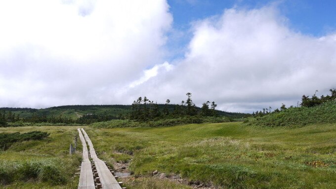 八幡村 (岩手県)