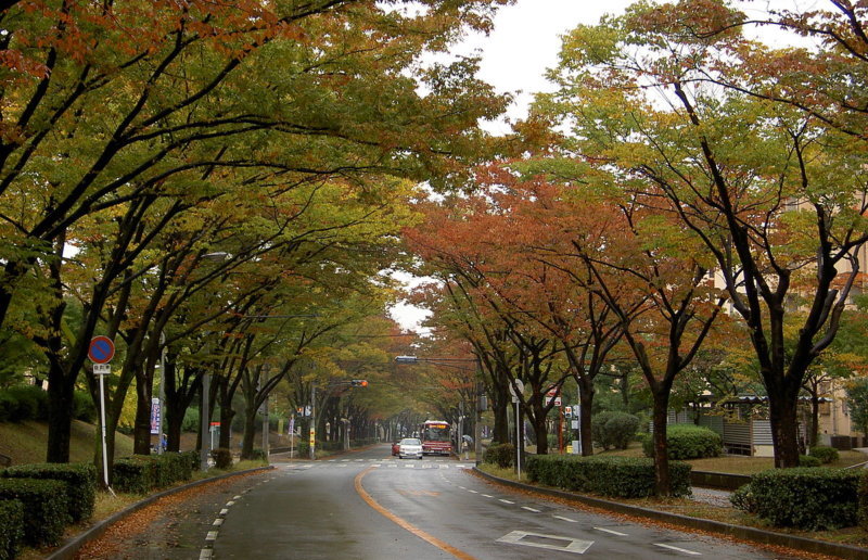 東海道の宿場町として栄えた大阪府枚方市の観光スポット6選！