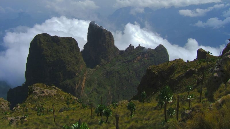 ワリアアイベックスの棲む山岳地帯、エチオピアの世界遺産シミエン国立公園