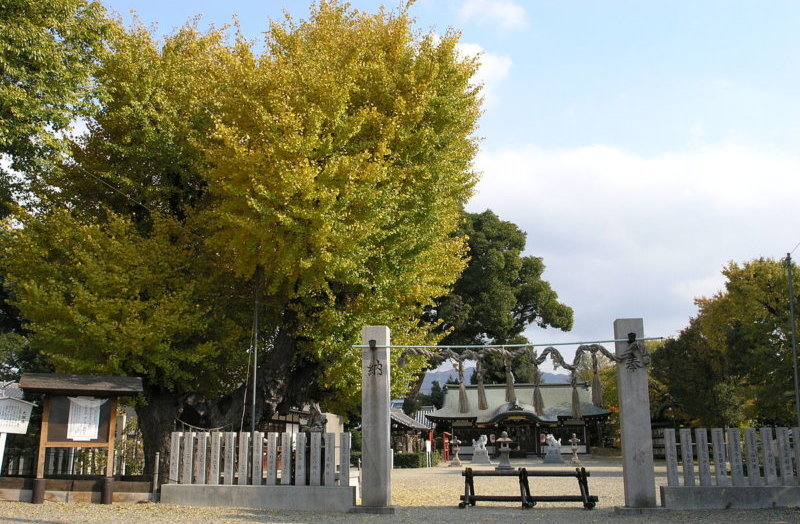 歴史遺産の街並みを巡ろう！大阪八尾市の観光スポット7選