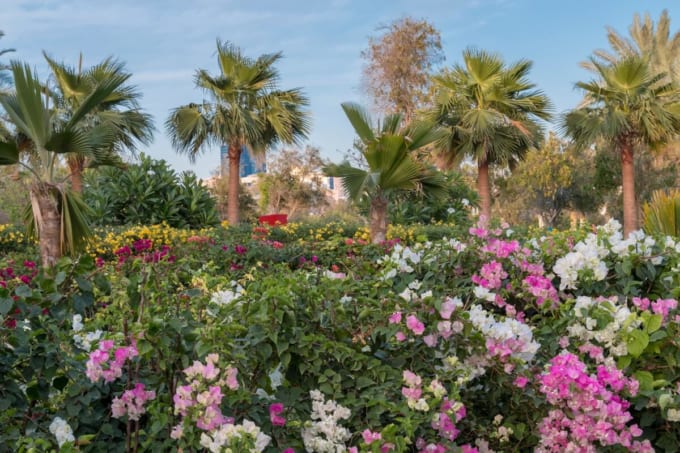 ウム・アルエマラットパーク（アブダビ）