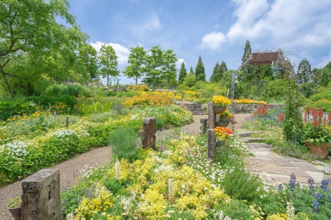 ガーデンミュージアム比叡