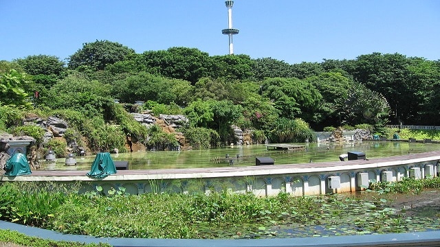 現代アトラクションと史跡が融合するセントーサ島の公園5選