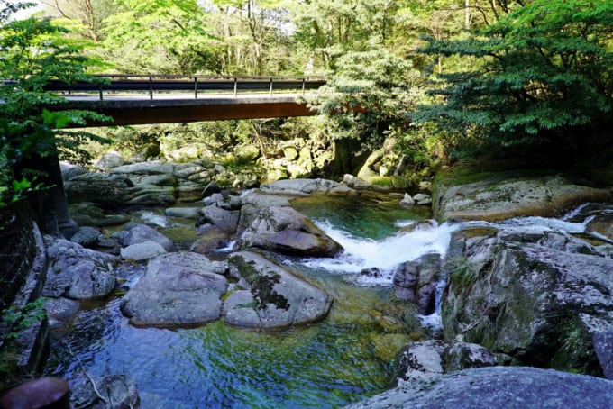 白谷雲水峡 入口の渓谷（屋久島）
