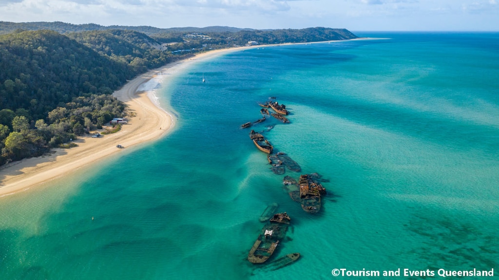 モートン島はイルカと触れ合える最高の体験ができる美しい砂の島🏝