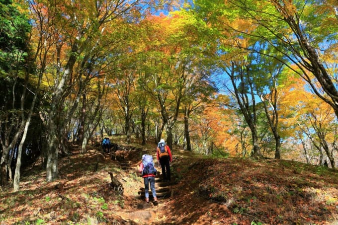 西丹沢神奈川県民の森