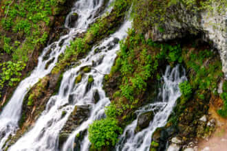 白ひげの滝 観光情報