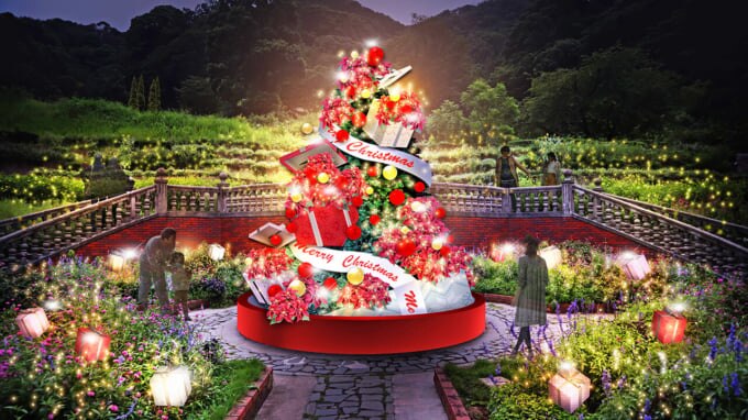 ACAO FOREST ADVENT CHRISTMAS