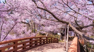 伊那市高遠城址公園