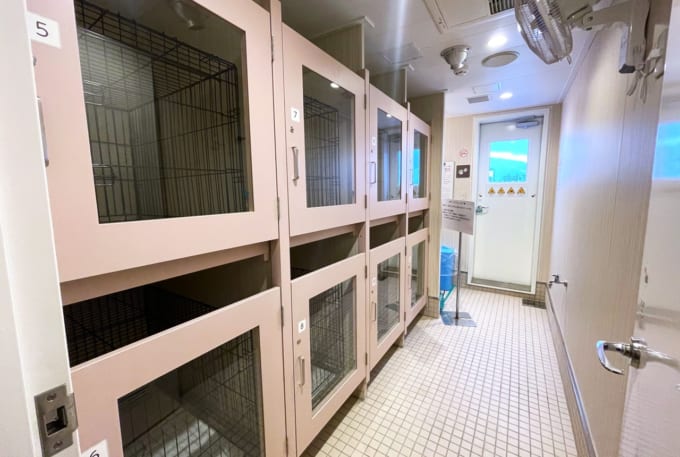 新日本海フェリー「けやき」ペットルーム