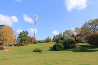 水曜どうでしょう 夏野菜スペシャル 聖地