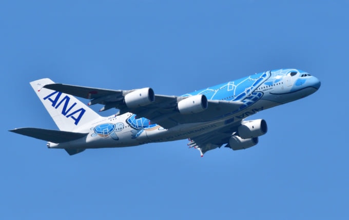 ANAのA380「FLYING　HONU」