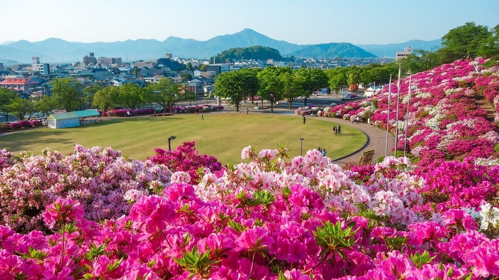 鯖江市「西山公園」の観光ガイド｜レッサーパンダと四季折々の自然を楽しもう