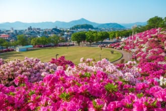 西山公園（福井県鯖江市）
