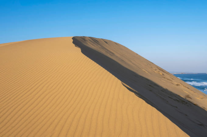鳥取砂丘の風紋（鳥取県）