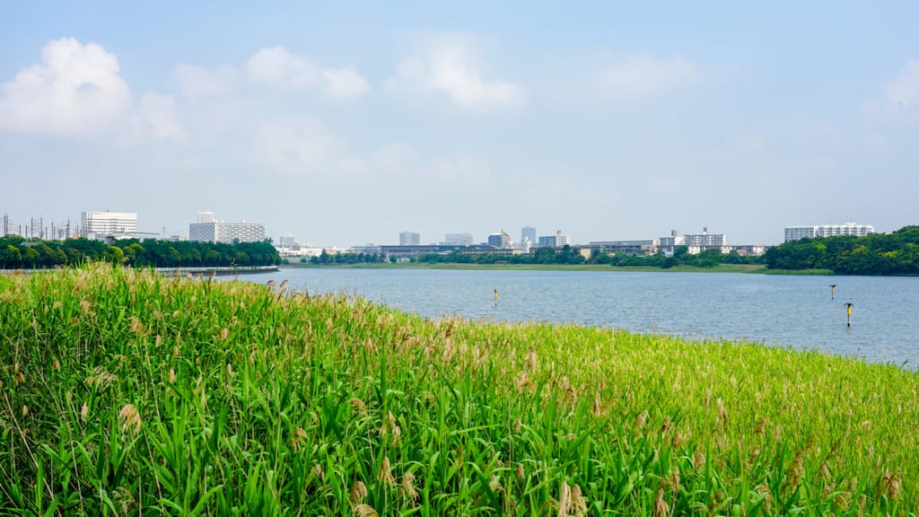 習志野の観光スポット11選！｜心和らぐ癒やし体験！？