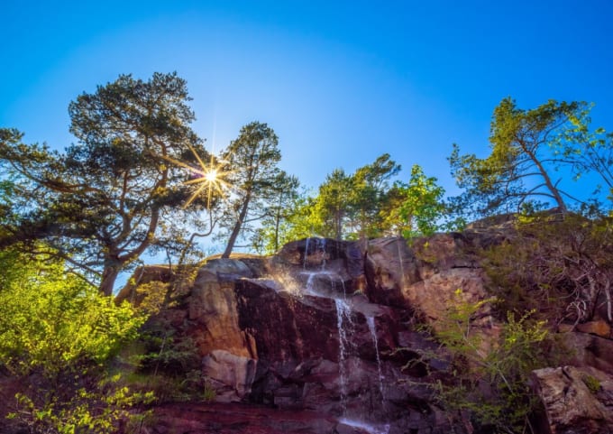ヨーテボリ植物園（スウェーデン）