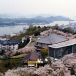春の千光寺公園と尾道水道