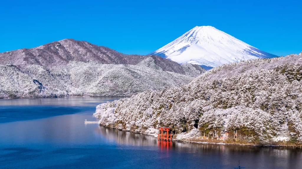 【東京～箱根】ロマンスカー・急行・新幹線・バスの料金と時間を比較