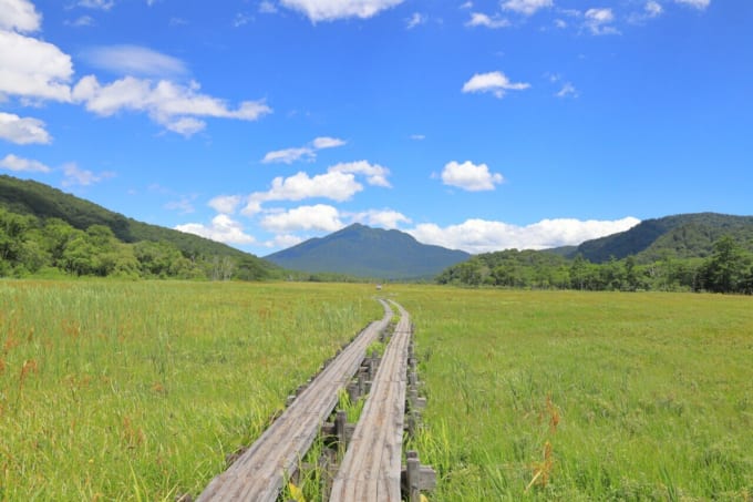 2023年 夏休み どこ行く 尾瀬