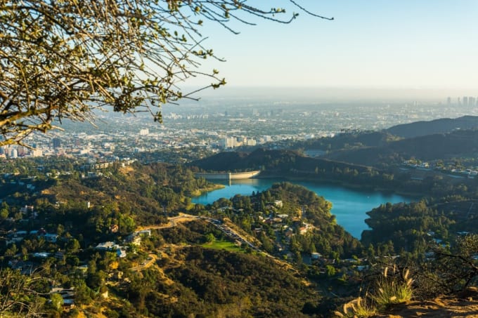 グリフィスパーク