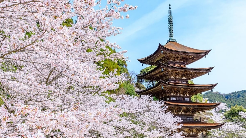 瑠璃光寺の観光のポイントとは？五重塔で大内文化を見学！