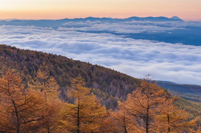 高峰高原　雲海