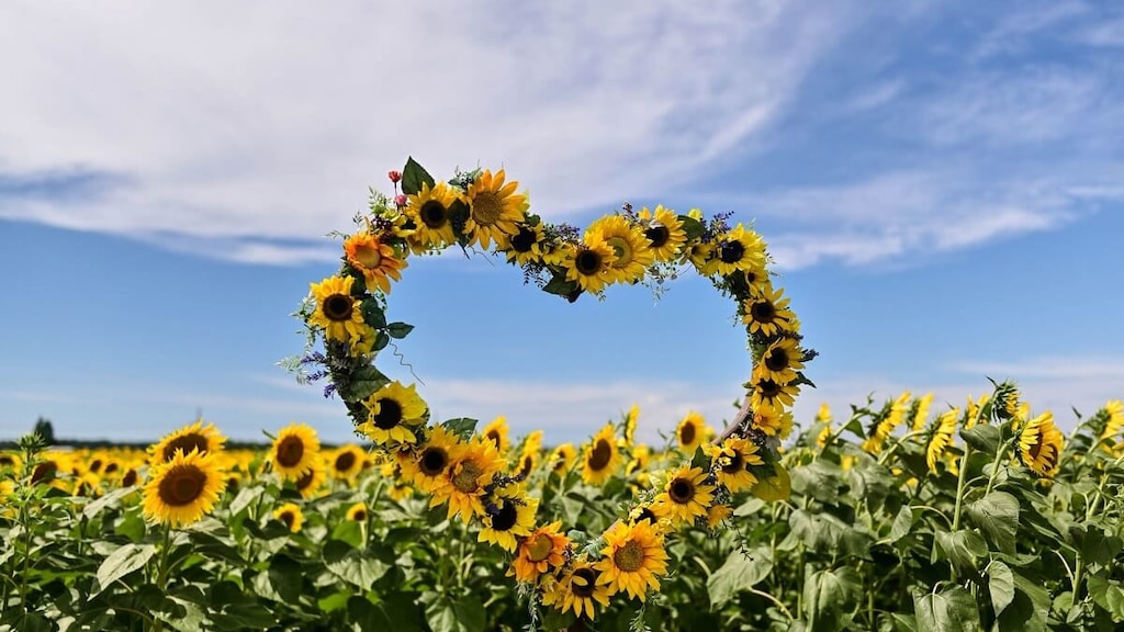 緑と歴史を感じるなら石川県・津幡町！おすすめ観光地6選ご紹介