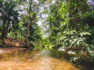 タイ スアンプエンの森の中にある渓流の美しい風景。