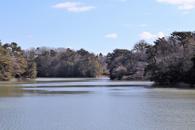 大池公園