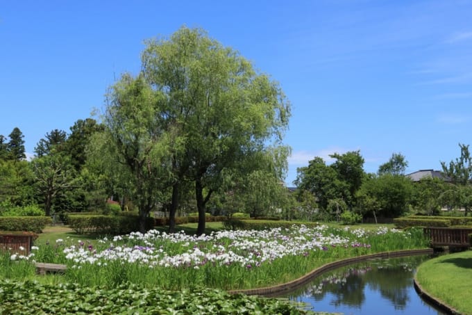 宮城県角田　台山公園