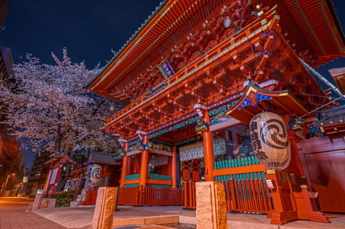 桜が綺麗な神社 東京