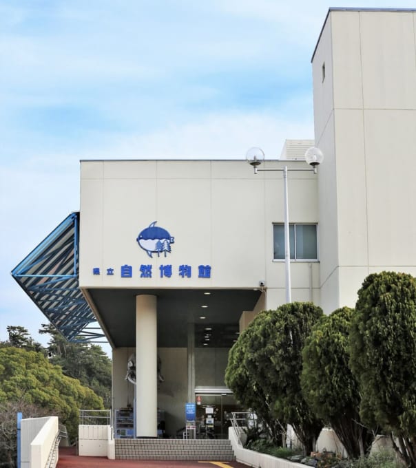 和歌山県立自然博物館