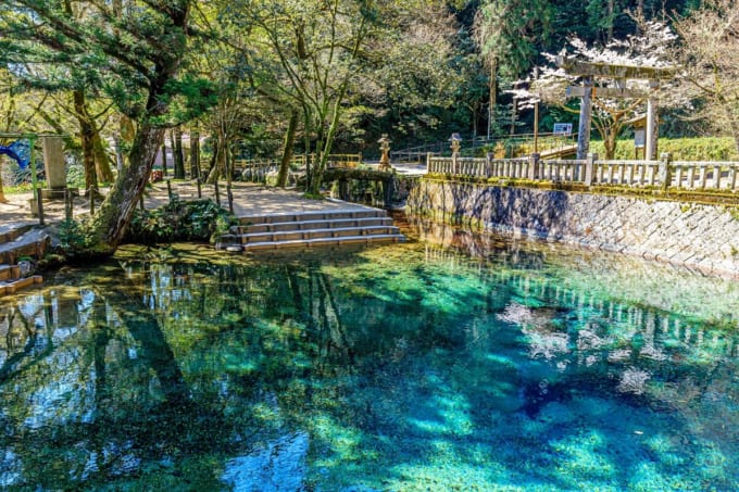 別府弁天池（山口県秋吉台）