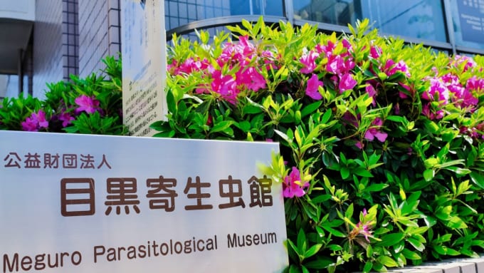 目黒寄生虫館