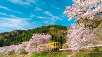 いすみ鉄道と満開の桜