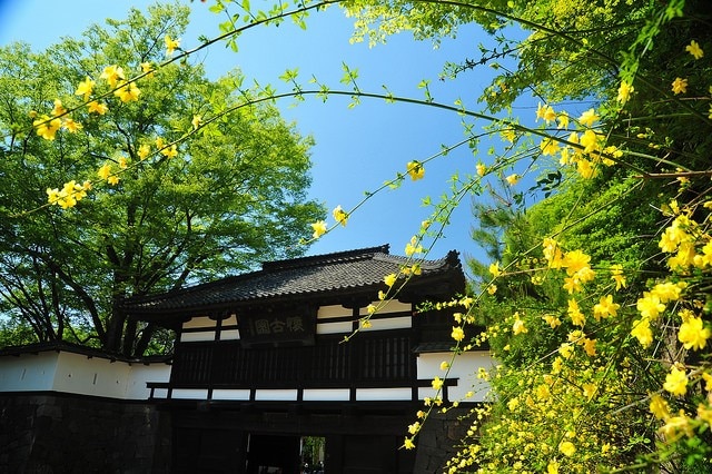 長野県小諸で県内きっての伝統文化と自然を満喫できる観光スポット16選 Skyticket 観光ガイド