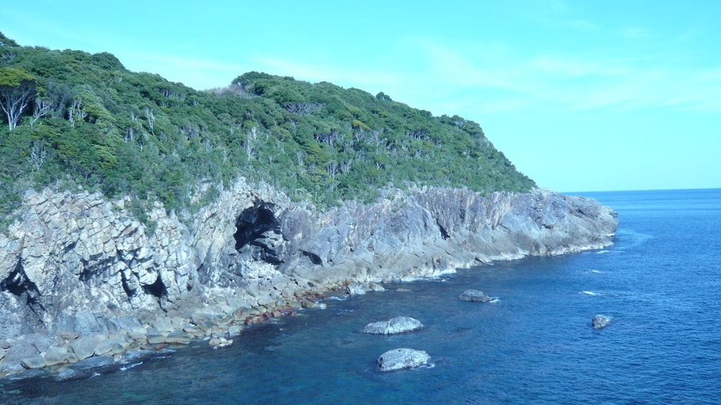 和歌山・新宮周辺のおすすめビジネスホテル｜世界遺産と温泉に癒されよう