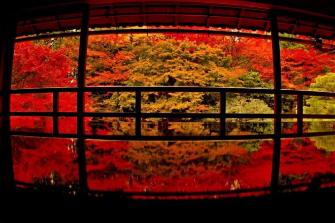 旧竹林院の紅葉リフレクション（滋賀県大津市）